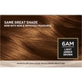 thumbnail image 2 of L'Oreal Paris Superior Preference Fade-Defying + Shine Permanent Hair Color, 6AM Light Amber Brown, Pack of 1, Hair Dye, 2 of 7