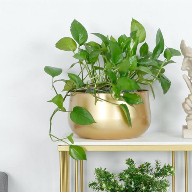 Macetas de jardín Morden, contenedores suculentos para interiores, macetas para plantas de cactus, macetas de Metal para cocina, sala de shamjiam jardineras de latón