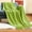 Green#6, variant on Four Season Lightweight Knitted Blanket - 50x72 Inch Warm & Breathable All-Weather Throw for Indoor/Outdoor Use, Picnics, Travel & Home Decor