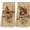 2pcs Set-butterfly, variant on Fall Leaves Pumpkin Kitchen Towels Decorative 16x24 Set of 2 | Rustic Farmhouse Autumn Seasonal Dish Towels Cloths Dishcloths Tea Towel Gifts, Cottagecore Bathroom Kitchen Hand Towel Decor