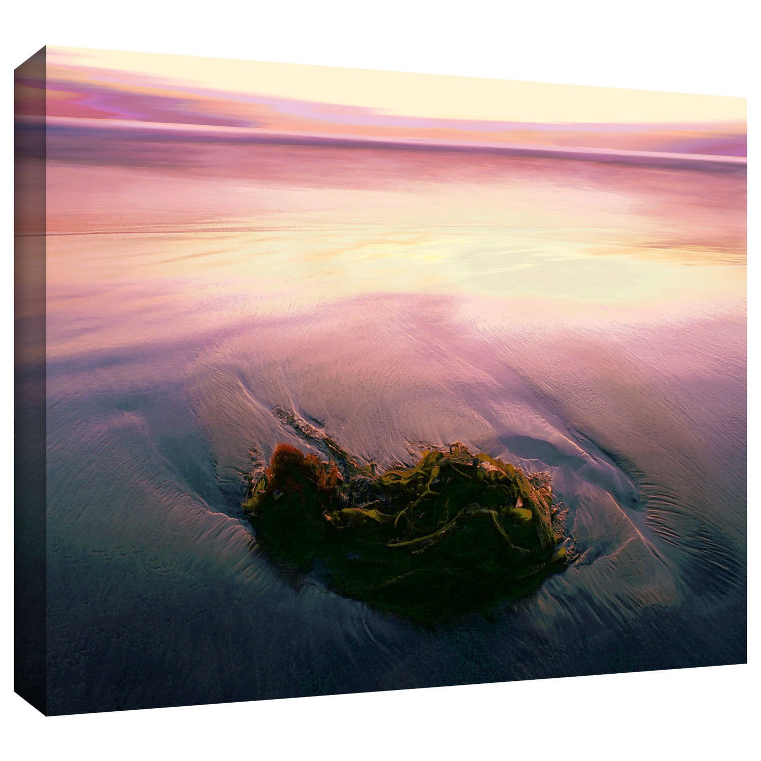 Dean Uhlinger "Twilight Kelp" Gallery-Wrapped Canvas