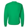 thumbnail image 3 of Hanes Ecosmart Crewneck Sweatshirt Unisex Size up to 5XL, 3 of 5