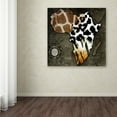 thumbnail image 3 of Trademark Fine Art 35x35 Maps Canvas Wall Art 'Animal Map Of Africa' by Color Bakery, 3 of 4