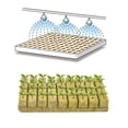 thumbnail image 2 of Crecer Cubos 100 Uds. Tapones de arranque cubos de cultivo ventilados para propagación de plantas (40mm), 2 of 6