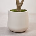 thumbnail image 5 of DR.Planzen 7ft Dense Artificial Olive Tree - Faux Olive Plant for Indoor & Outdoor Decor - Adjustable Branches - UV Resistant Realistic Olive Tree in White Planter, 5 of 11