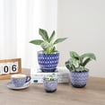 thumbnail image 4 of ANHXN ceramic flowerpot, indoor plant flowerpot, planter with drainage hole and tray. Different colors to choose from, 4 of 6