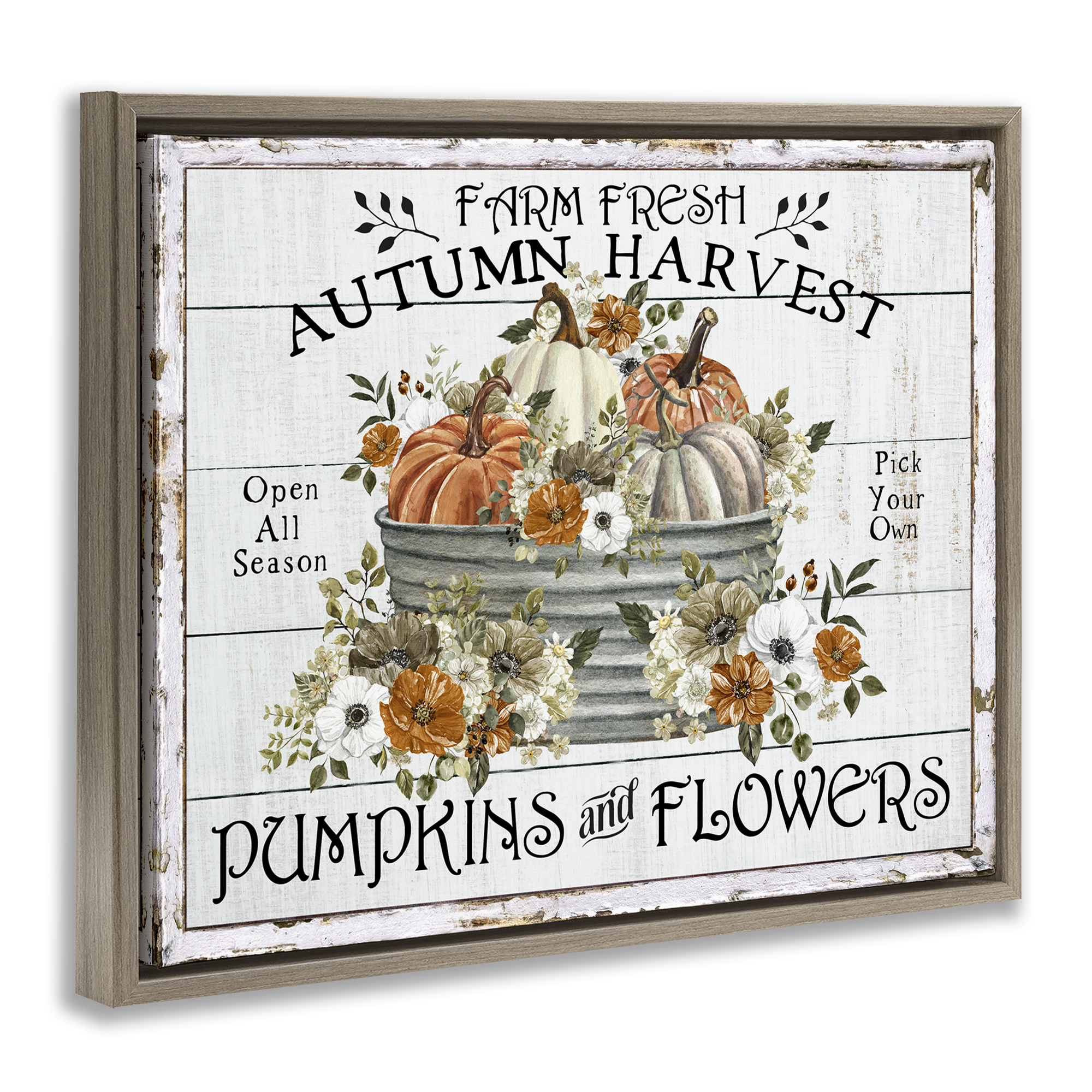 Stupell Industries Farm Fresh Harvest Pumpkin Holiday Painting Brown Floater Framed Canvas Art Prints Wall Art, 21 x 17