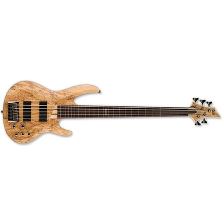 ESP LTD B-205SMFL Fretless 5-String Bass