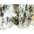 thumbnail image 3 of Young, Chamira 24x19 Black Modern Framed Museum Art Print Titled - Lost Bird II, 3 of 5
