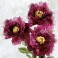 thumbnail image 3 of Stevens, Jesse 12x12 Black Modern Framed Museum Art Print Titled - Burgundy Bloom II, 3 of 5