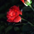 thumbnail image 2 of L Blue Luces solares de flores de rosas [6 flores mejoradas], luces de rosas con energía solar para exteriores, luces decorativas solares para jardín, luces solares para caminos,, 2 of 5