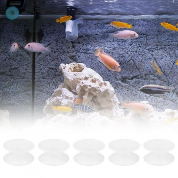 LYUMO 10 pièces ventouses double face en silicone pour aquarium en