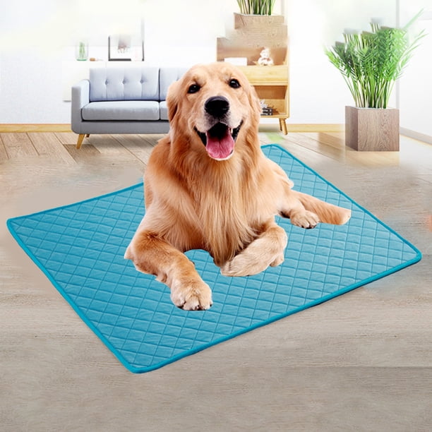 Xihbxyly Artículos Por Menos de 5 Dólares. Esterilla Refrescante para Mascotas para Perros y Gatos: Esterilla Refrescante de Seda Helada para Perros, Manta Refrescante Portátil y Lavable para Mascota