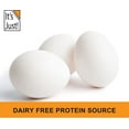 Egg White Protein Powder, Made in USA from CageFree Eggs, Dried Egg