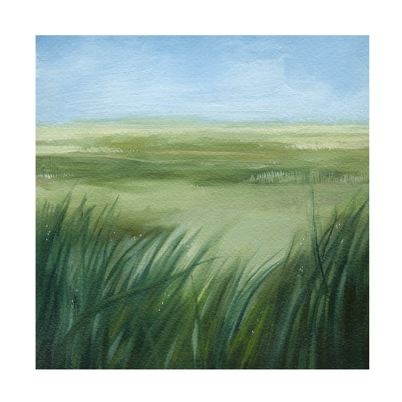 Trademark Fine Art Grace Popp Tall Grass Plains I Canvas Wall Art