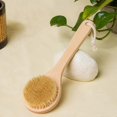 thumbnail image 3 of 2025 Latest Model Dry Bath Body Brush Back Scrubber 9.84", Short Handle Natural, 3 of 5
