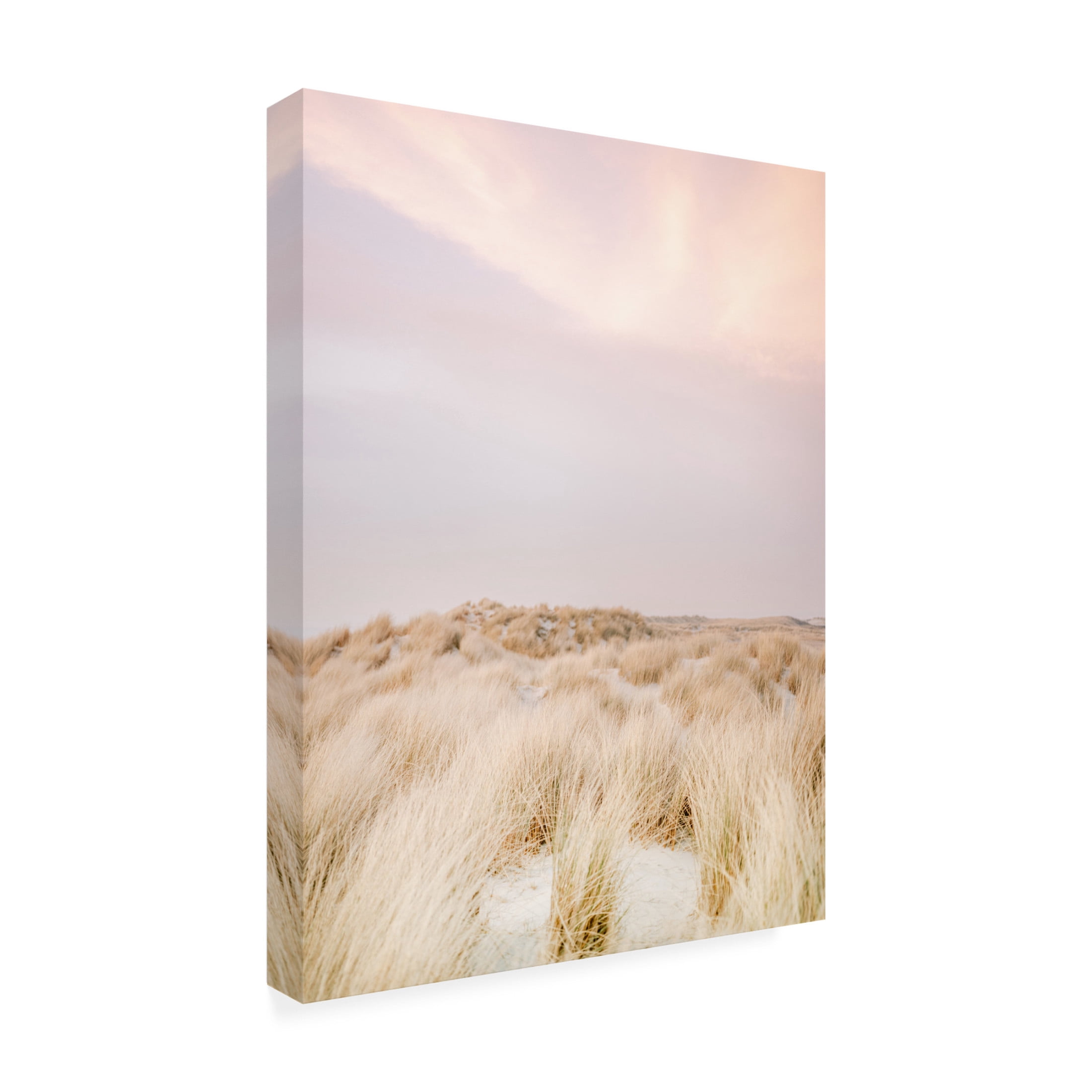 Trademark Fine Art Raisa Zwart Ameland Dunes 2 Canvas Wall Art