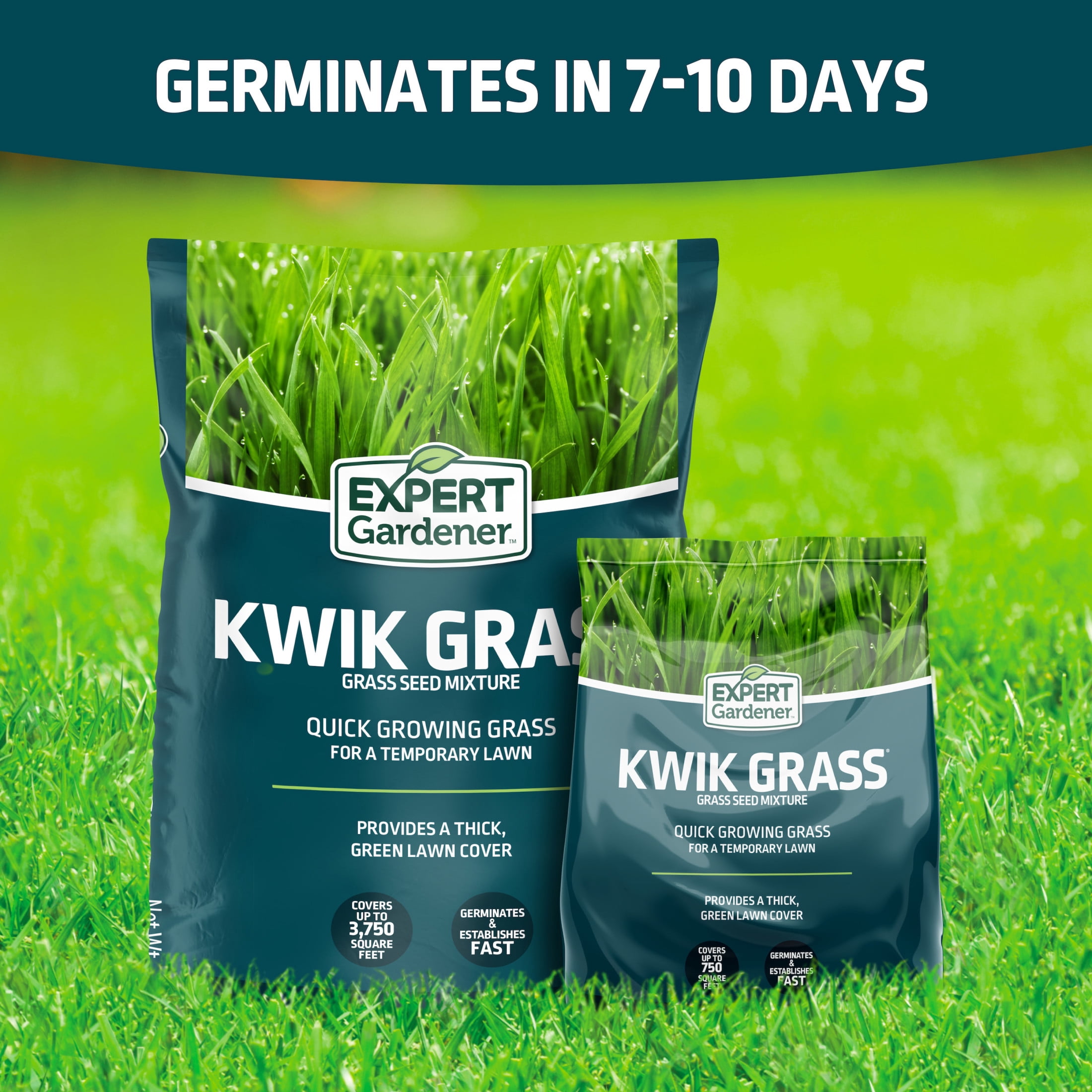 Expert Gardener Kwik Grass Seed Mix, for Sun to Partial Shade, 15 lb., 1 Pack, New