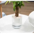 thumbnail image 1 of Jardinera NQ comedero balcón Absorción automática de agua maceta plástico 10 cm, 1 of 4
