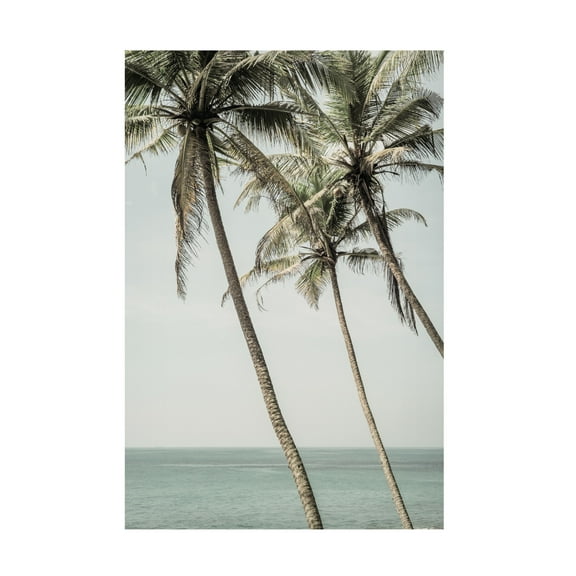 Trademark Fine Art Shot by Clint Sun Kissed Canvas Wall Art