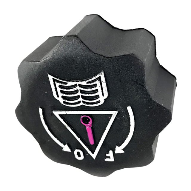 Tapa del de agua del radiador Baoblaze para 107 206 207 307 308 406 407 807 Tapa de la tapa del tanque de aceite del automóvil