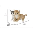 thumbnail image 3 of Chatons Assis Ensemble, 3 of 4
