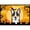 Black, variant on Carolines Treasures Halloween Tricolor Corgi Door Mat Indoor Rug or Outdoor Welcome Mat 18x27 Doormat 27L x 18W
