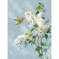thumbnail image 2 of Nai, Danhui 25x32 White Modern Wood Framed Museum Art Print Titled - Hummingbird Spring I Soft Blue, 2 of 4
