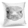 thumbnail image 1 of BOSDECO Taie d'Oreiller Portrait Noir d'Autruche Dessinée à la Main, Housse de Coussin 20x20 Pouces, 1 of 1