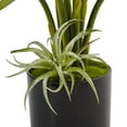 thumbnail image 2 of Nearly Natural Bird of Paradise Silk Arrangement in Black Glossy Cylinder, 2 of 4