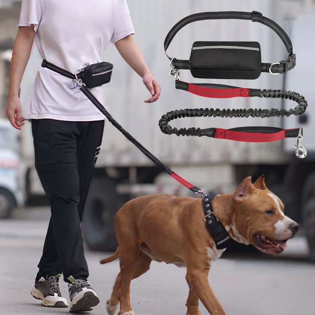 Laisse pour Chien Mains Libres avec Pochette à Fermeture Éclair / Laisse de Course Ajustable en Élastique / Longueur 51-76 Pouces / Poignées Doubles Absorbant les Chocs / Ceinture en Néoprène / Nylon Durable pour Chiens Moyens et Grands