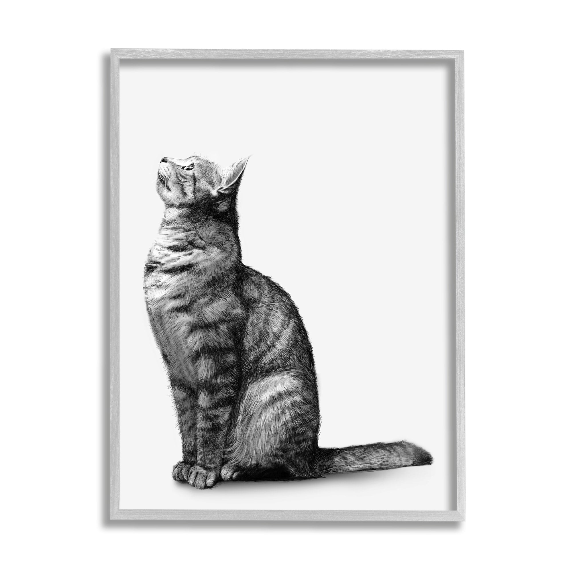 Stupell Industries Manx Cat Sitting Calmly Detailed Casual Portrait Graphic Art Gray Framed Art Print Wall Art, Design by Ziwei Li
