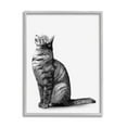 thumbnail image 4 of Stupell Industries Manx Cat Sitting Calmly Detailed Casual Portrait Graphic Art Gray Framed Art Print Wall Art, Design by Ziwei Li, 4 of 5