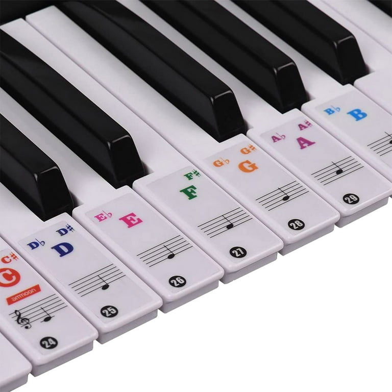 Piano Notes Guide for Beginner, Removable Piano Keyboard Note Labels for  Learning,88/76/61/54/49/37 Key Keyboards