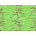 thumbnail image 1 of Ahgly Company Tapis d'Intérieur Rectangulaire à Motifs Vert Alien, 6 Pieds x 9 Pieds, 1 of 6