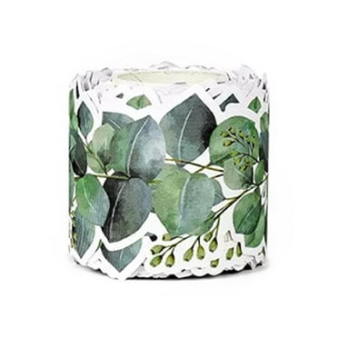 Apooke Border Trim Plant Leaf Border Trim Wall Decals for Classroom Chalkboard