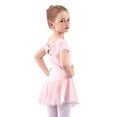 thumbnail image 4 of GYRATEDREAM Ballet Leotard for Girls Dance Skirt Girls Gymnastics Skirted Tutu Dance Dress Gymnastic Skirt for 2-3Y, 4 of 5