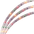 thumbnail image 1 of Lumière Ronde Incandescente Intérieure/extérieure - Multicolore, 15 Pieds, 1 of 1