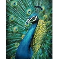 thumbnail image 1 of Diamond Painting kit for Creativity & Leisure, for Advanced Diamond Art Lovers Peacock WD231 18.86 x 14.93 inches square diamond painting rhinestones for Children 8+ and Adults, 1 of 2