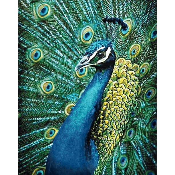 Diamond Painting kit for Creativity & Leisure, for Advanced Diamond Art