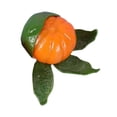 thumbnail image 3 of Juguete de mano de frutas Juguete de naranjas peladas suaves Juguete de niño encantador Simulación Juguete relajante Juguete inquieto Novedad para Verde, 3 of 9
