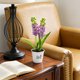 thumbnail image 4 of Hyacinth Bonsai Plastic Potted Plants Simulated Silk Flower Lifelike Home Decoration Suitable For Desktop Office And Wedding Centerpiece Decoration, 4 of 6