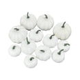 thumbnail image 1 of 12 piezas de calabazas falsas, modelo DIY, lindas y pequeñas para Halloween, Acción de Gracias, Otoño Mezclado 3 tamaños, 1 of 9