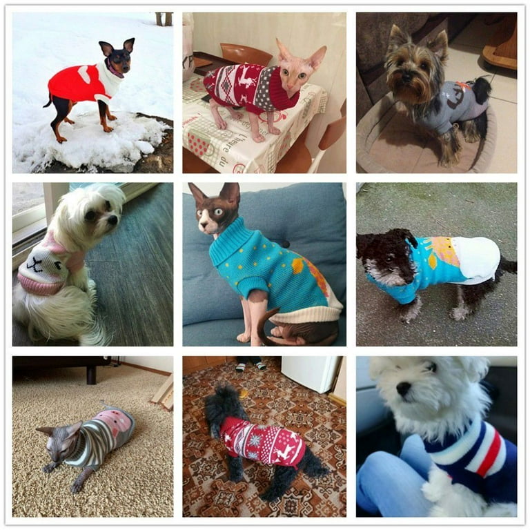 Piglet hotsell dog sweater