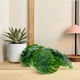 thumbnail image 1 of unbranded 2Ud Plantas Artificiales Monstera Para Pared Verde Colgante Fácil Instalación, 1 of 8