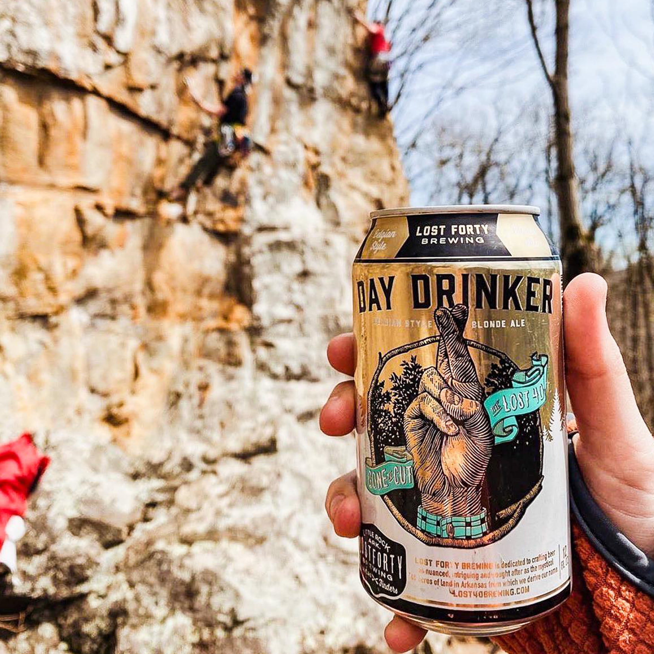 Lost Forty Brewing Day Drinker Belgian Blonde Craft Ale, 12 fl oz 6 Pack Cans, 4.8% ABV