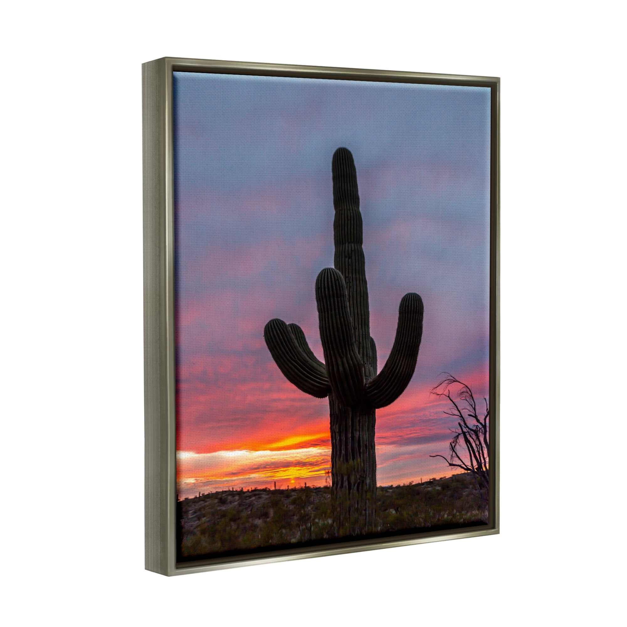 Stupell Industries Desert Cactus Plant Silhouette Radiant Sunset Sky Photograph Luster Gray Floating Framed Canvas Print Wall Art, Design by Jeff Poe Photography