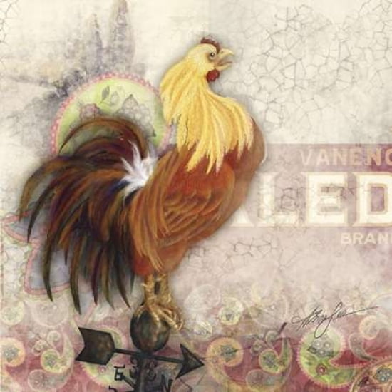 Morning Rooster Can