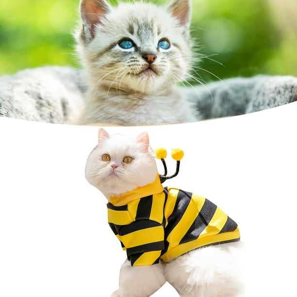 Sudaderas para gatos, sudaderas con capucha para gatos, ropa linda y  elegante para mascotas, sudaderas con capucha para gatos, lo mejor de la  línea