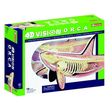 Tedco Toys  4D Vision Orca Anatomy Model